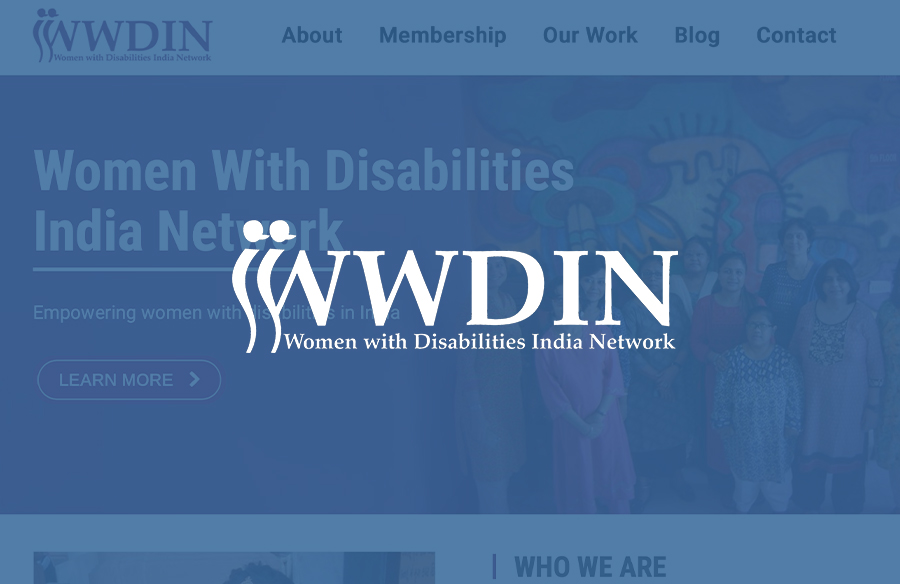 WWDIN Website Screenshot with logo